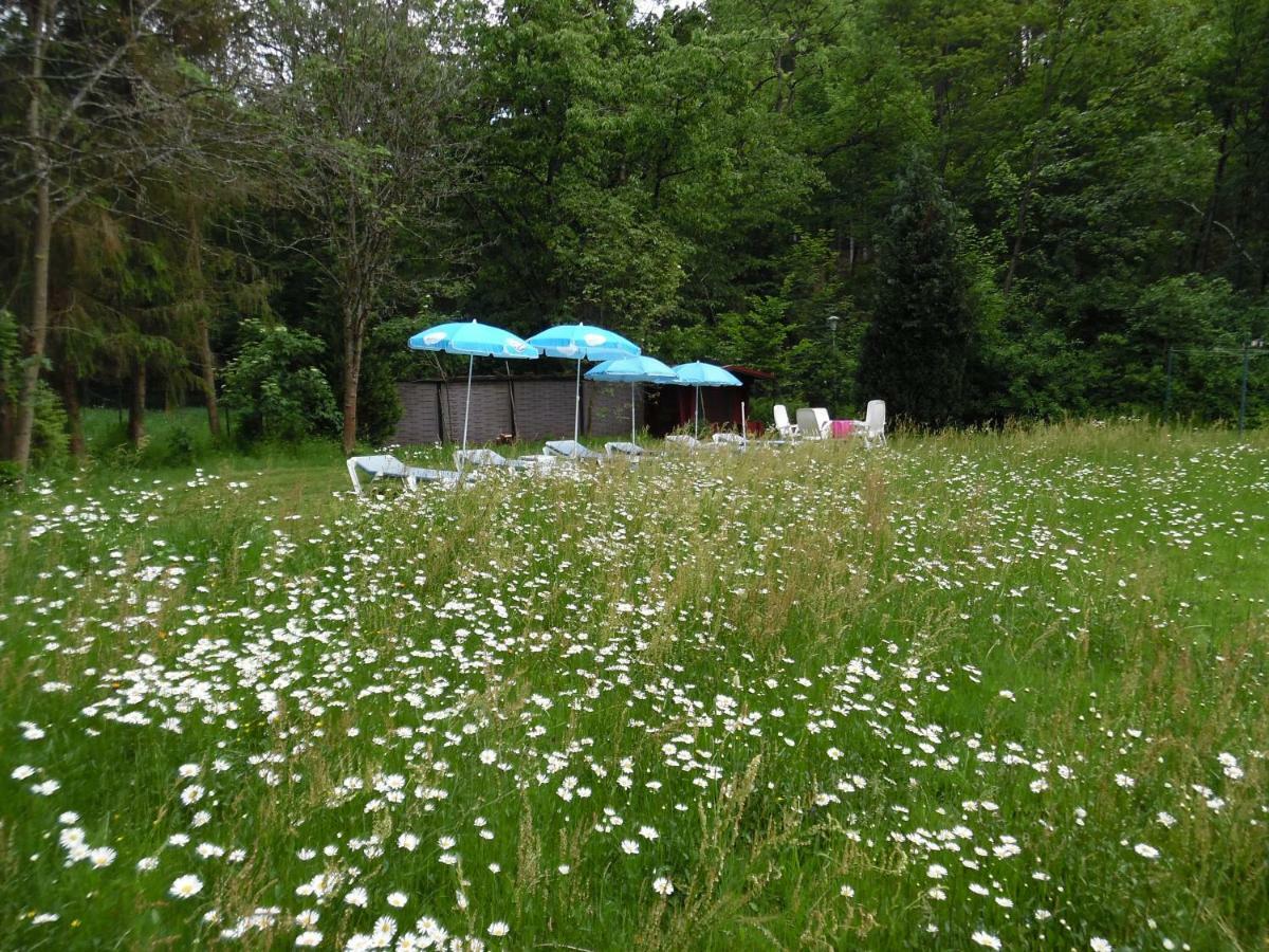 Wellness Und Romantik Hotel Helmboldt Bad Sachsa Kültér fotó